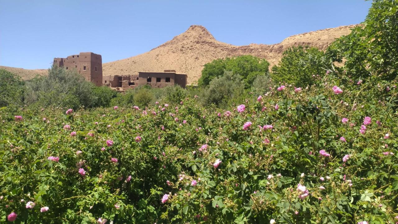 Bed and Breakfast Les Jardins Du M'Goun Kelaat-M'Gouna Exteriér fotografie